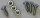 PROBST Ersatzteile Linsen-Blechschraube DIN 7981, M4,8 x 16, FORM C, verzinkt 20030009