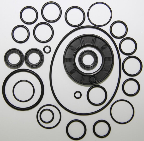 Dichtungssatz - KIT D für Hochdruckpumpe Comet LWD-K/Typ 3522 28000035 - PROBST Ersatzteile