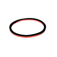 PROBST Ersatzteile Ersatzdichtung ED-SPS-200 Dichtring...