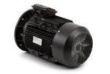 HUSQVARNA Construction Ersatzteil MOTOR 15KW 4P 230/400V IEC160 I 593560401